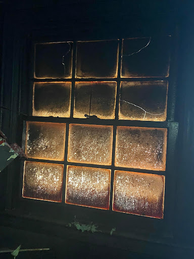 Insurance Agency «State Farm: Holly Thomason», reviews and photos