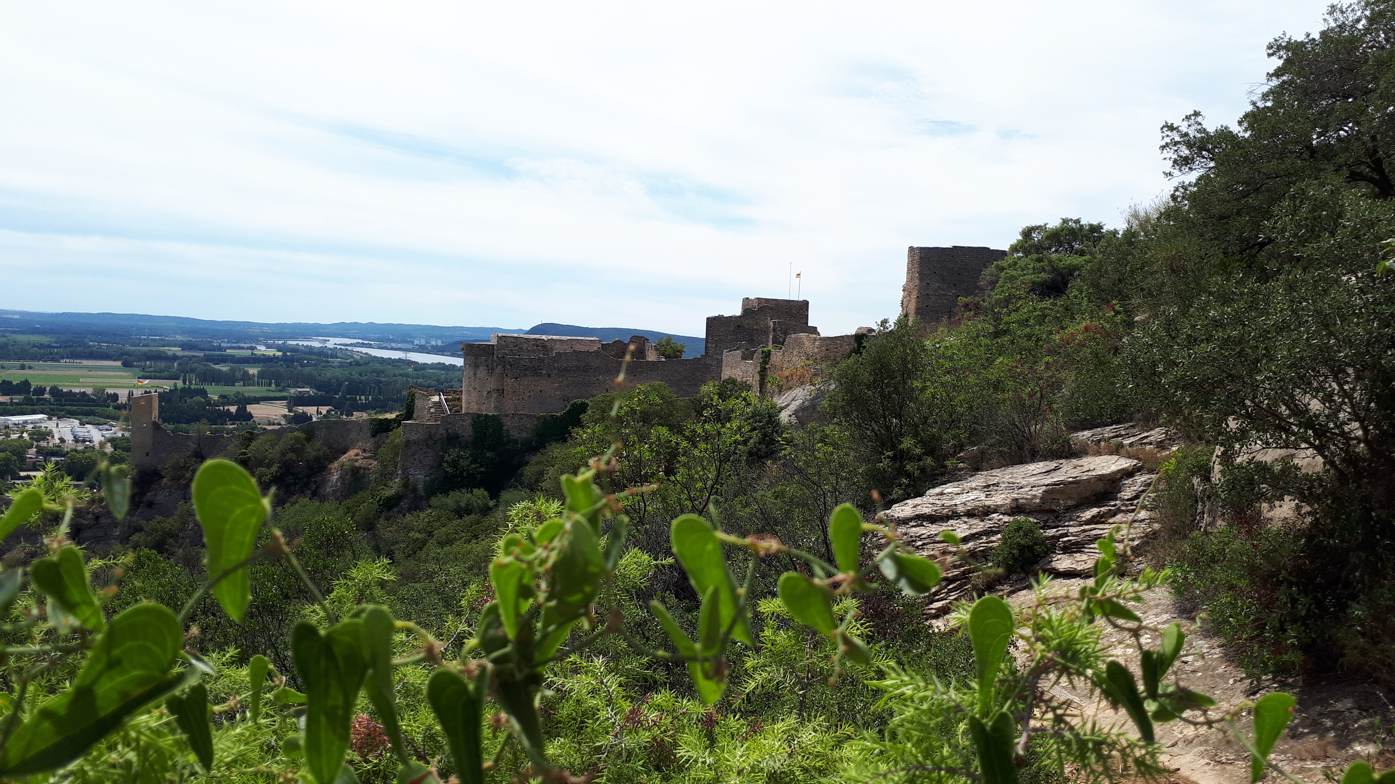 Photo n° 5 de l'avis de Rousseaux.h fait le 18/08/2020 à 13:35