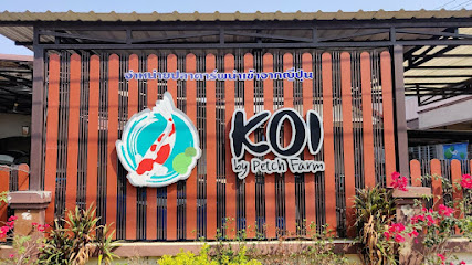 Koi by PetchFarm (เพชรฟาร์ม ) ฟาร์มจำหน่ายปลาคาร์ฟนำเข้าจากประเทศญี่ปุ่น ยารักษาปลา