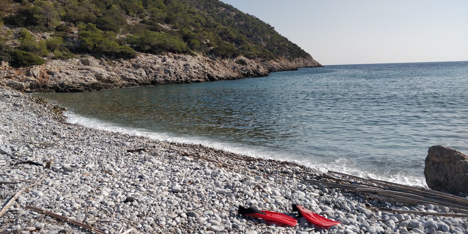 Atavyros Beach II'in fotoğrafı vahşi alan