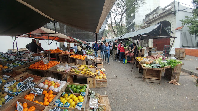 Opiniones de Feria De Los Domingos en Ciudad del Plata - Supermercado