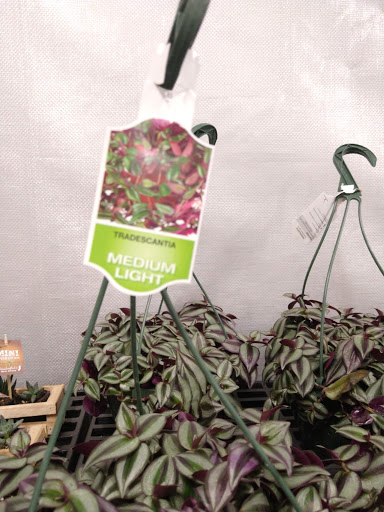 Discount Store «Walmart», reviews and photos, 3133 Main St, Mohegan Lake, NY 10547, USA