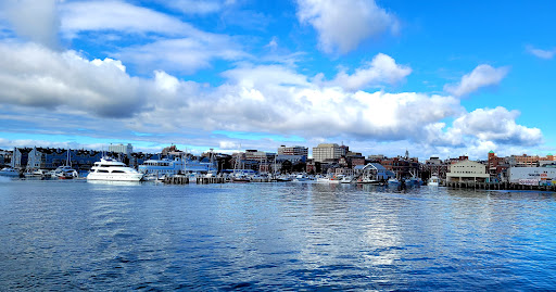 Tour Agency «Portland Discovery Land and Sea Tours», reviews and photos, 170 Commercial St, Portland, ME 04101, USA