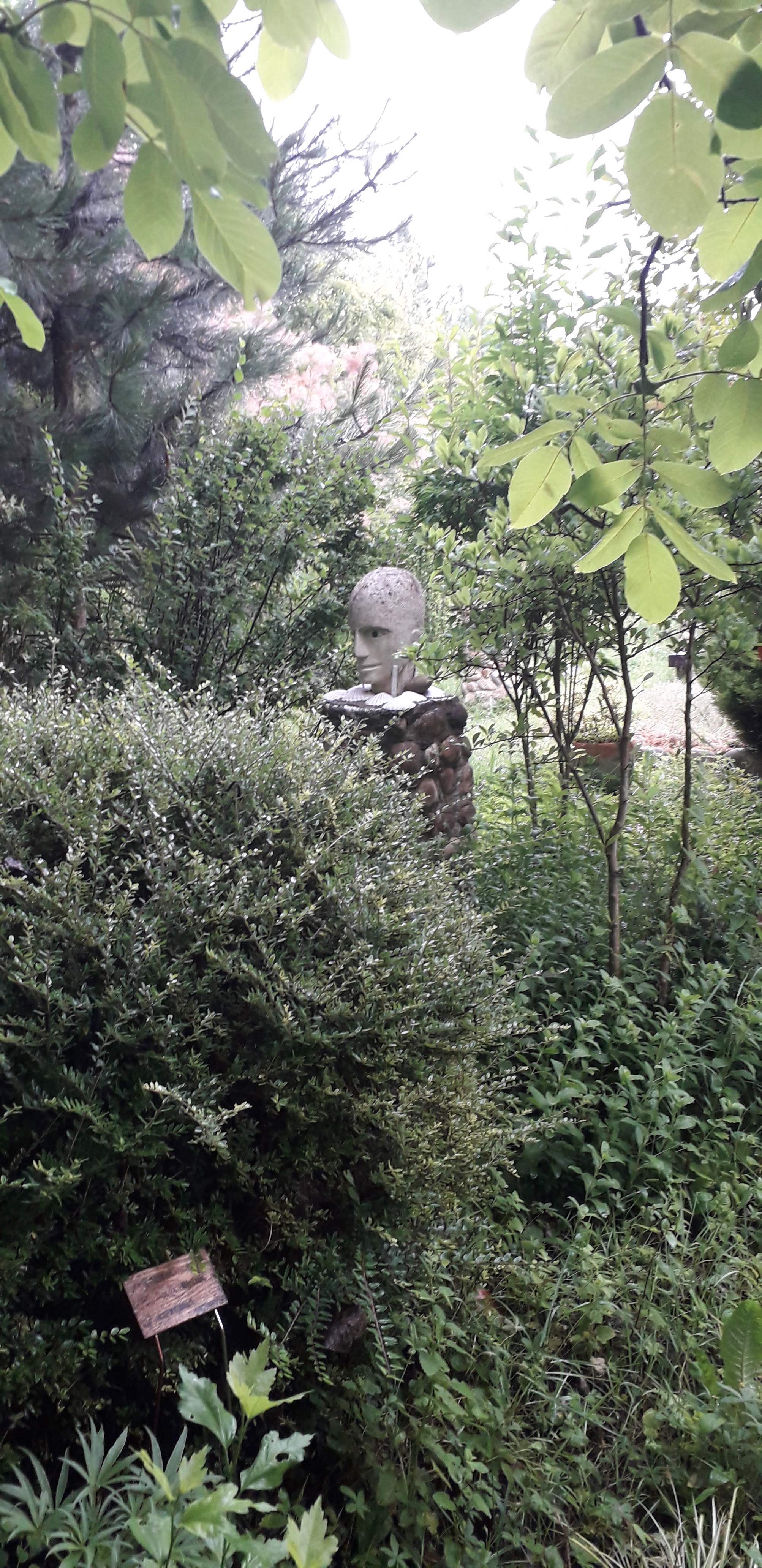 Photo n° 4 de l'avis de juan.e fait le 14/06/2019 à 10:45
