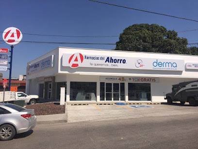 Farmacia Del Ahorro, , Tampico