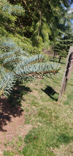 Park «Beech Woods Park», reviews and photos, 137 Beekman Rd, Kendall Park, NJ 08824, USA