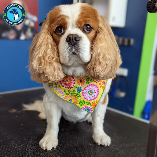 Pet Store «Healthy Pets Mountain West», reviews and photos, 2352 Fort Union Blvd, Cottonwood Heights, UT 84121, USA