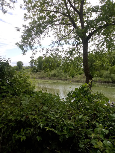 Scottys Landing image