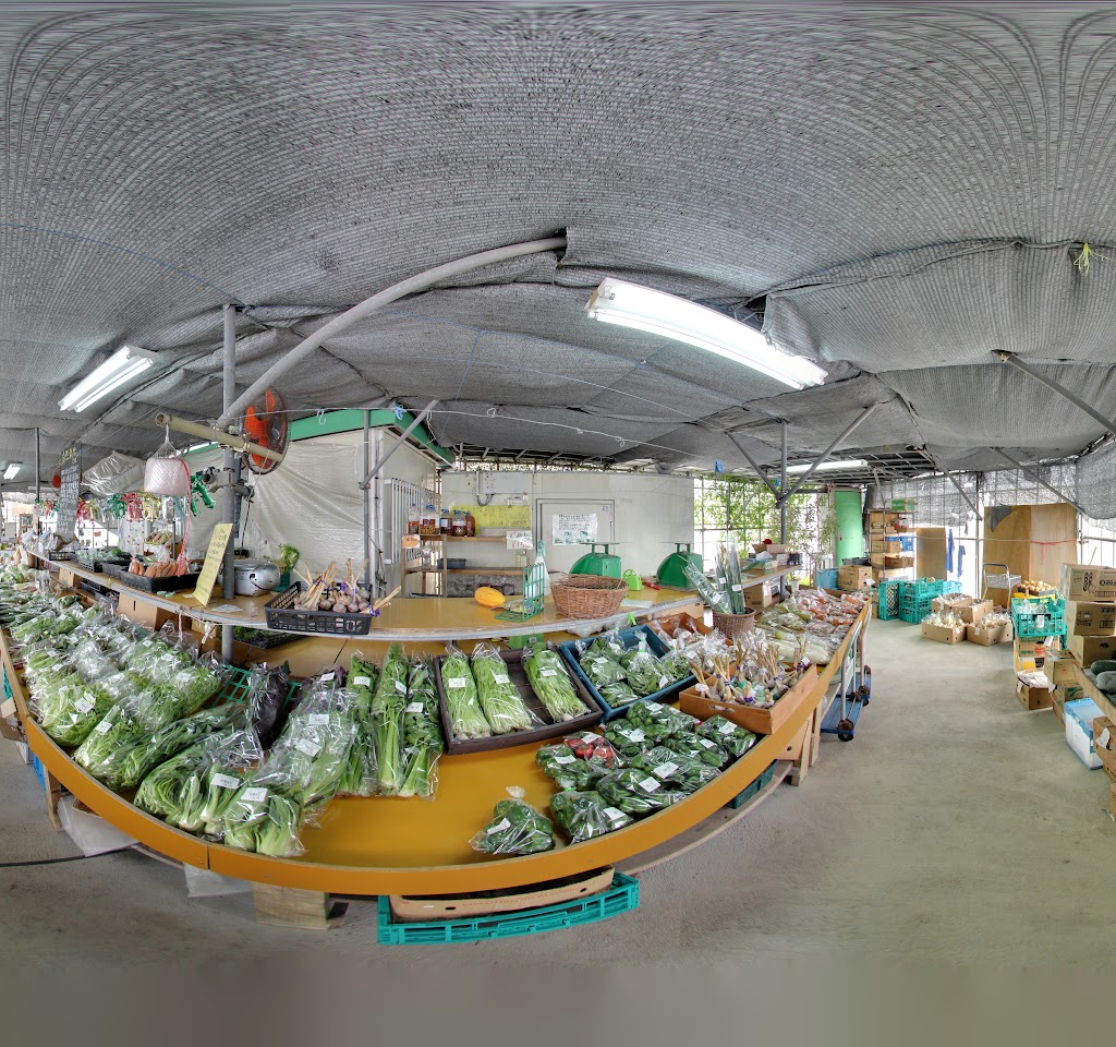 モリンガファーム さんご園芸