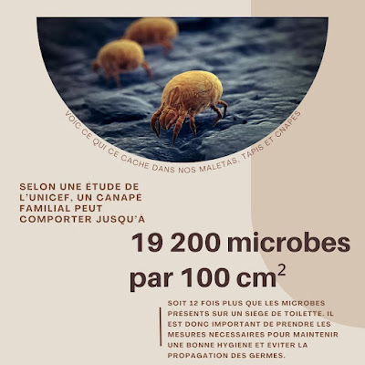 Canap’Propre - Votre spécialiste du nettoyage de canapé, matelas, tapis… secteur Genève et Haute-Savoie. à Annemasse