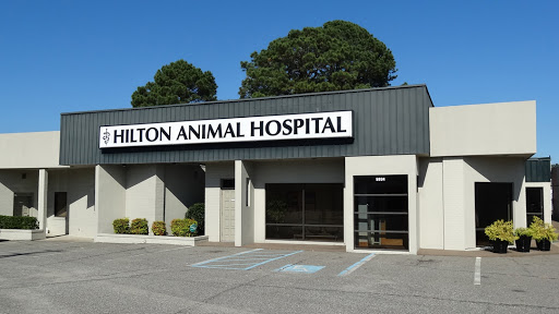 Hilton Animal Hospital