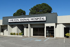 Hilton Animal Hospital