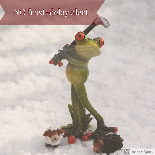 Golf Course «Forest Hills Golf Course», reviews and photos, 36260 SW Tongue Ln, Cornelius, OR 97113, USA