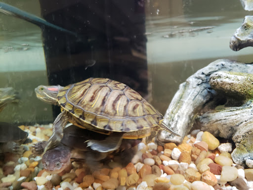 Pet Supply Store «PetSmart», reviews and photos, 1411 S Harbor Blvd, Fullerton, CA 92832, USA