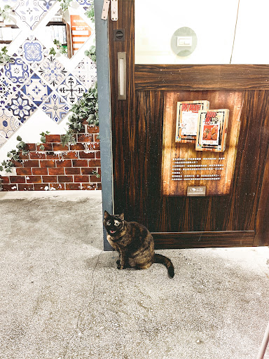 貓咪貓咪G7桌遊披薩主題餐廳 桃園大廟店 的照片