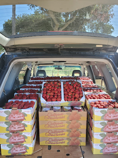 Supermarket «Santa Fe Mercados Inc», reviews and photos, 870 S White Rd, San Jose, CA 95127, USA