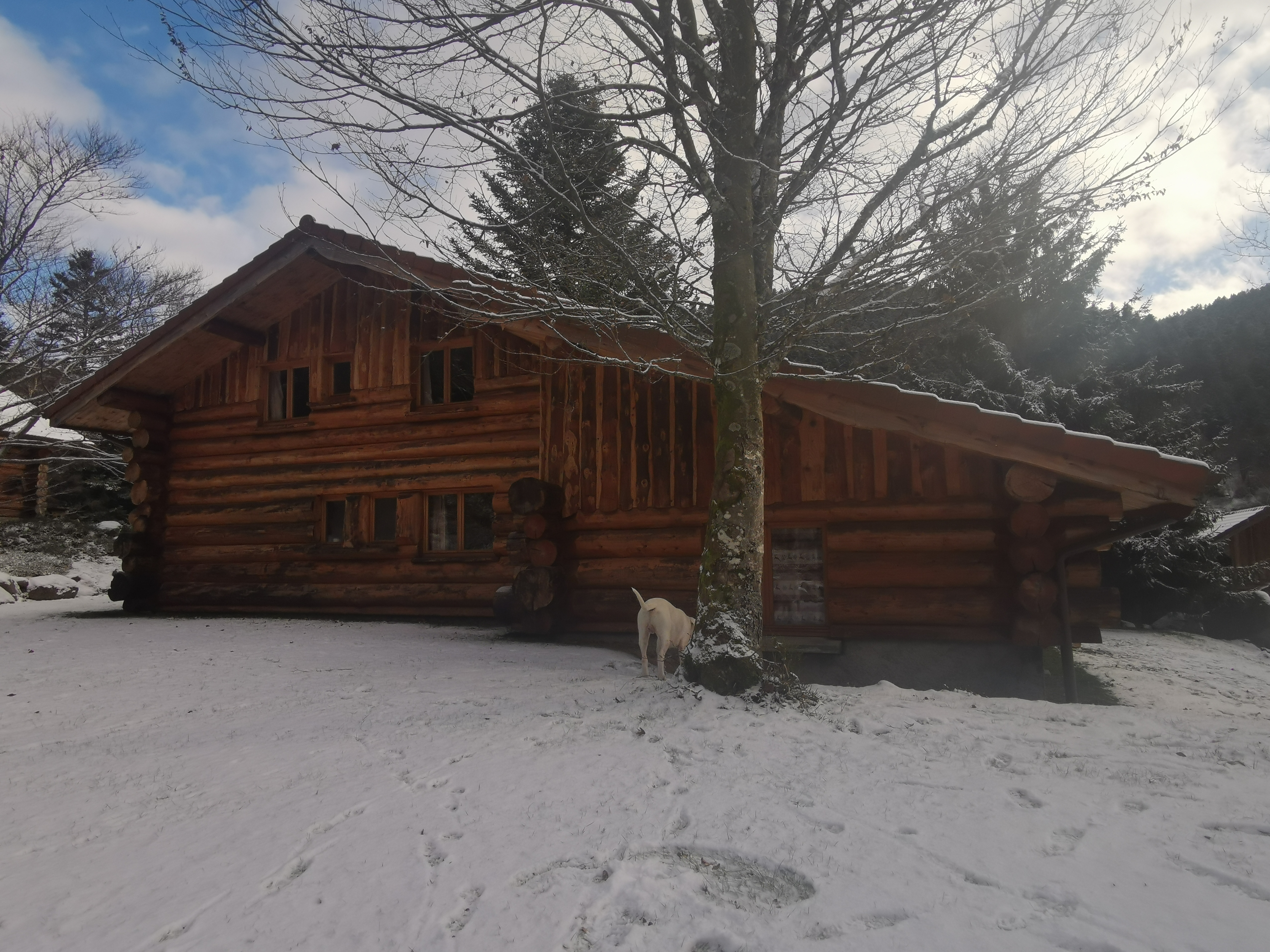 Photo n° 5 de l'avis de doublet.o fait le 18/12/2022 à 16:24