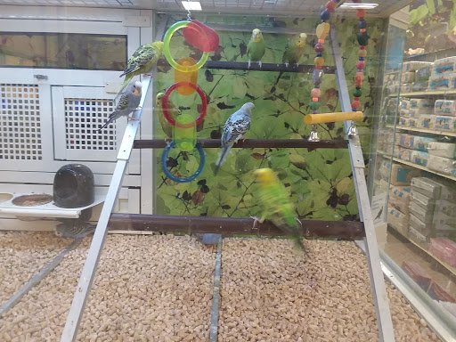 Pet Supply Store «PetSmart», reviews and photos, 263 Midway Blvd, Elyria, OH 44035, USA