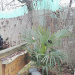 Photo n°1 de l'avis de Matteo.e fait le 15/12/2016 à 12:13 sur le  Lago Capanna à Cusago