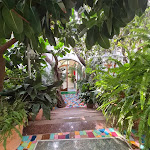 Photo n°1 de l'avis de Clio.a fait le 12/11/2023 à 13:18 sur le  Villa Bellavista Hotel à Praiano