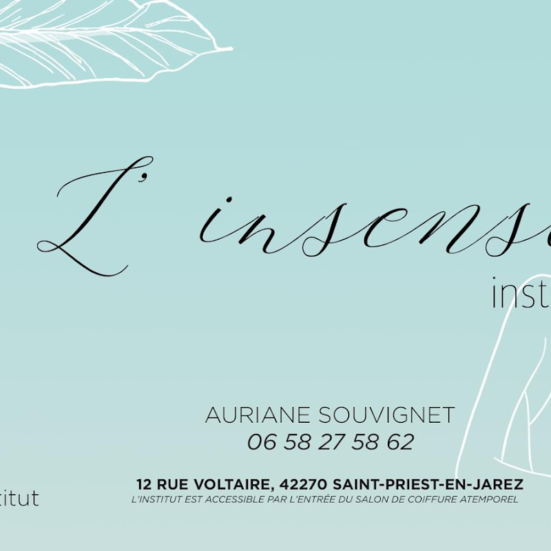 L'insensé institut