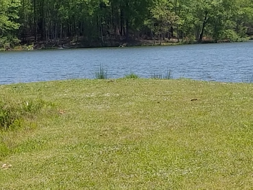 Wildlife Park «Charlie Elliott Wildlife Center», reviews and photos, 543 Elliott Trail, Mansfield, GA 30055, USA