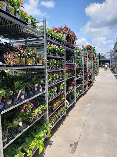 Home Improvement Store «The Home Depot», reviews and photos, 8445 Little Rd, New Port Richey, FL 34654, USA