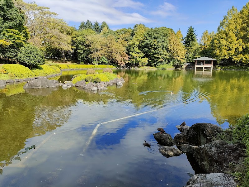 栃木県中央公園 日本庭園むつび池