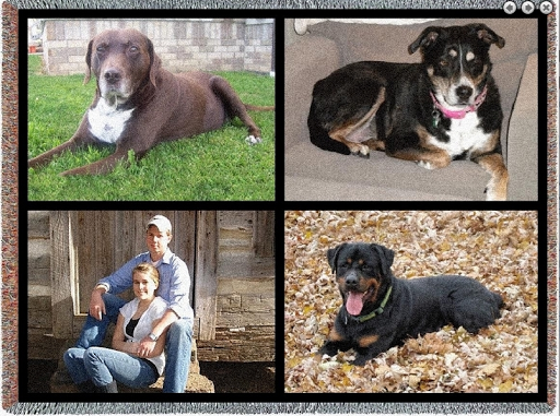 Gift Shop «The Memories Place», reviews and photos, 148 Westville Dr, Conway, SC 29526, USA