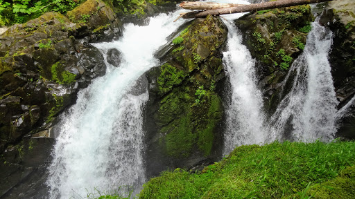 National Park «Olympic National Park», reviews and photos, 3002 Mt Angeles Rd, Port Angeles, WA 98362, USA