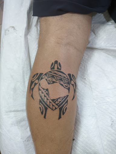 Explore tortoise tattoo ideas, creative tattoo ideas in Kihei, available at Paradise Tattoo