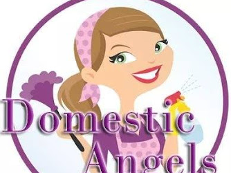 Domestic Angels