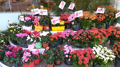 Génération Fleurs à Soyaux