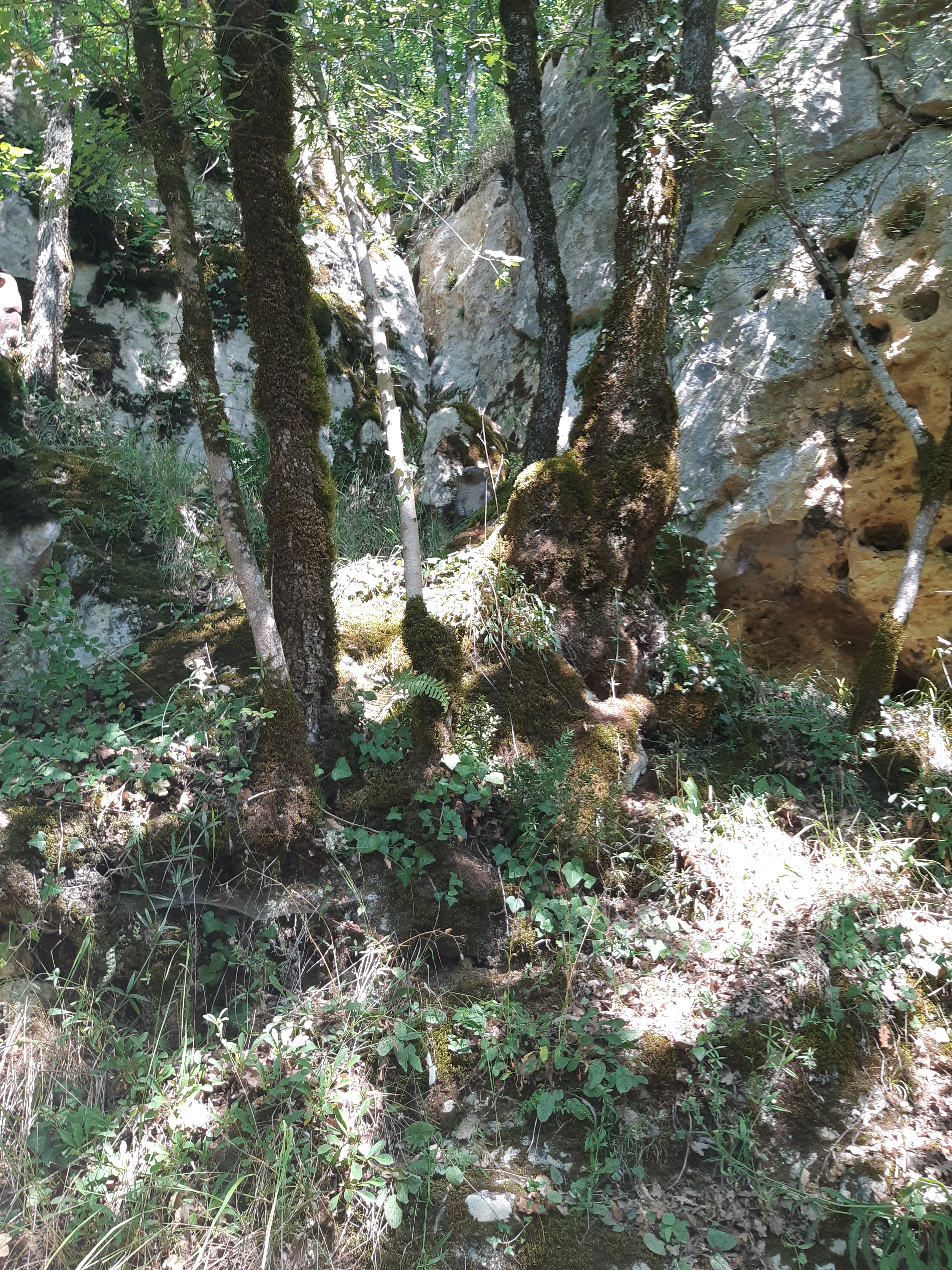 Photo n° 34 de l'avis de Pamela.e fait le 26/07/2018 à 11:23