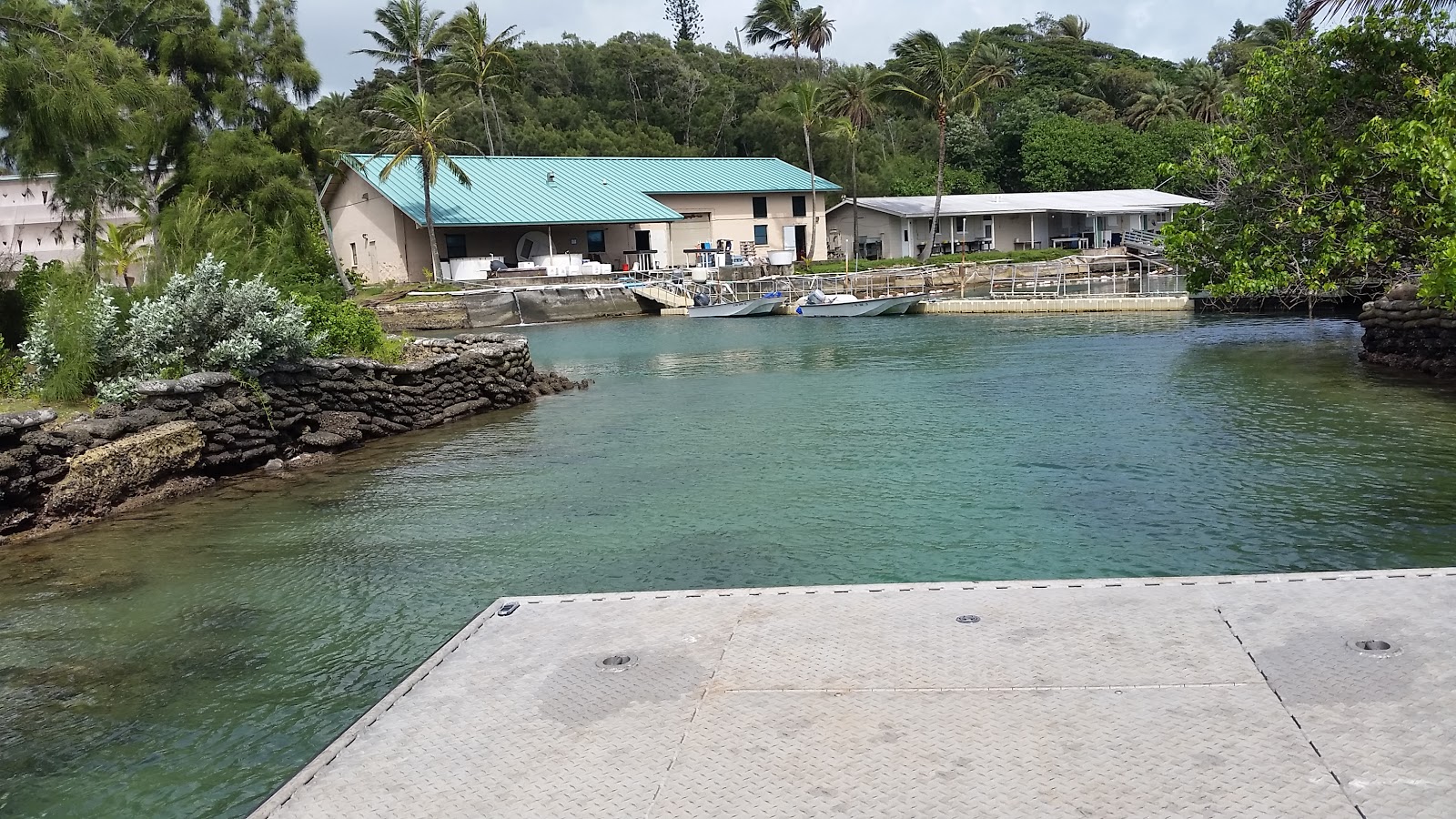 Foto de Coconut Island Beach com água cristalina superfície