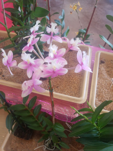 Zoo «Mesker Park Zoo», reviews and photos, 1545 Mesker Park Dr, Evansville, IN 47720, USA