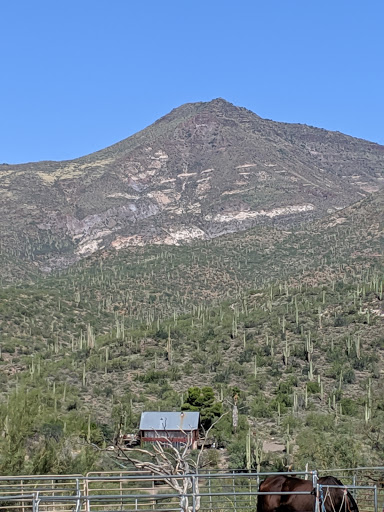 Horseback Riding Service «Spur Cross Stables», reviews and photos, 44029 N Spur Cross Rd, Cave Creek, AZ 85331, USA
