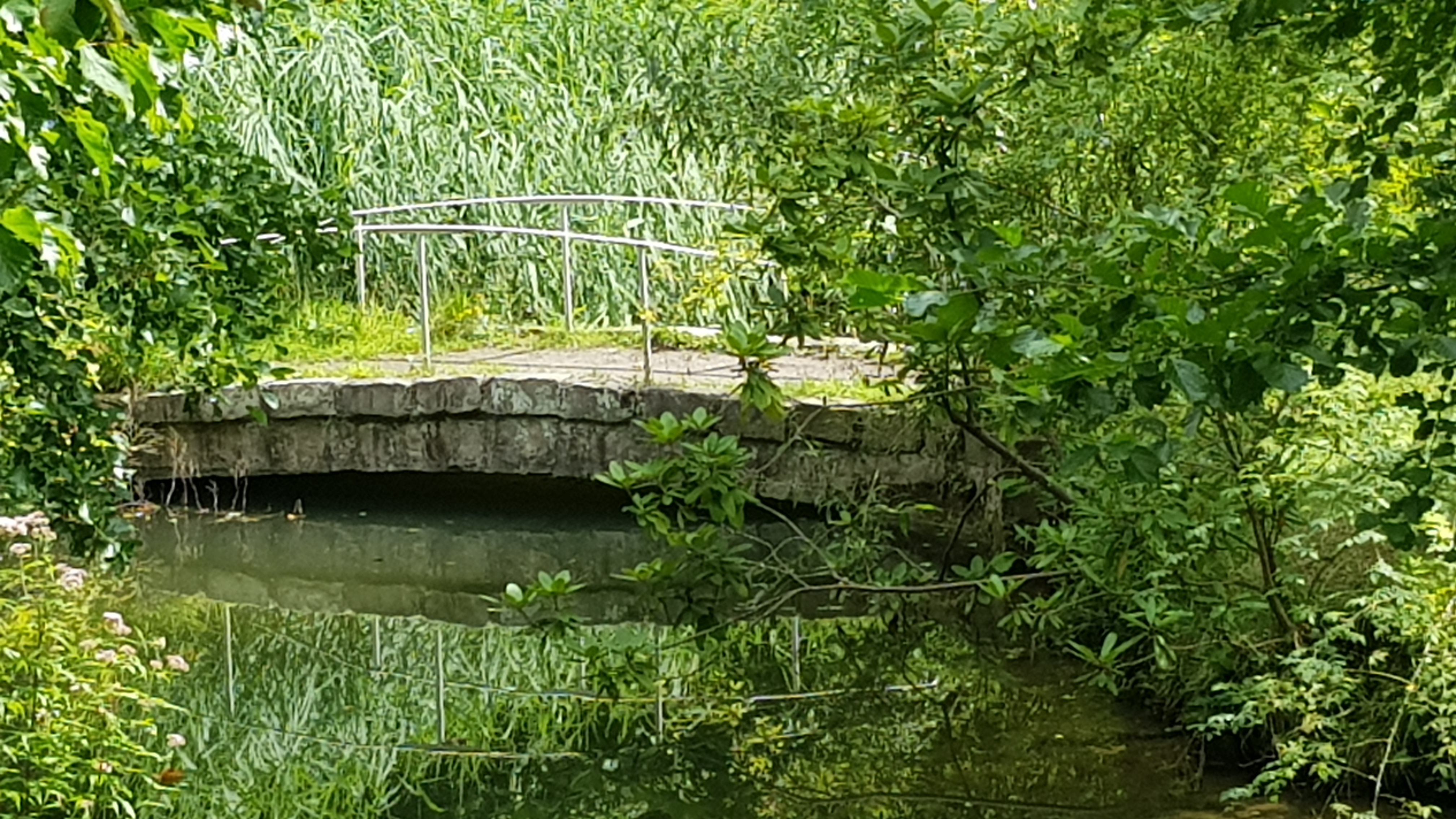 Photo n° 30 de l'avis de Marie.i fait le 11/08/2021 à 18:15