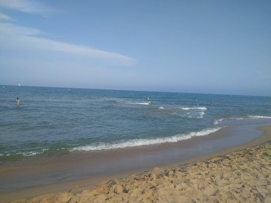 Playa del Saladar