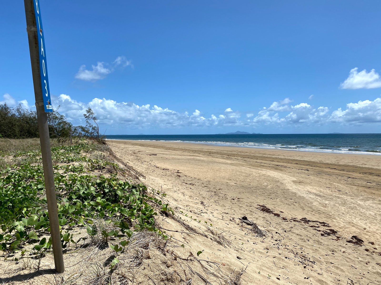 Foto di Bucasia Beach con molto pulita livello di pulizia
