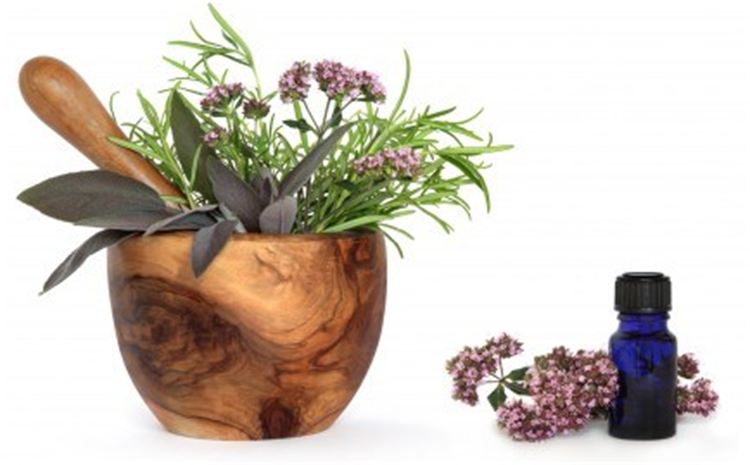 Jill Lynn Skin Therapy LLC 98502