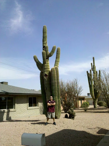 Moving Company «Get Your Move on, LLC», reviews and photos, 1430 E Hadley St #110, Phoenix, AZ 85034, USA