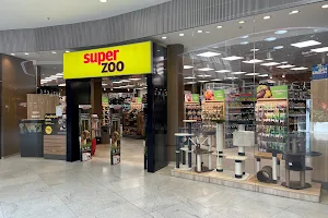 Super zoo image