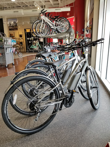 Bicycle Store «Trek Bicycle Store of Estero», reviews and photos, 8001 Plaza del Lago Dr #101, Estero, FL 33928, USA