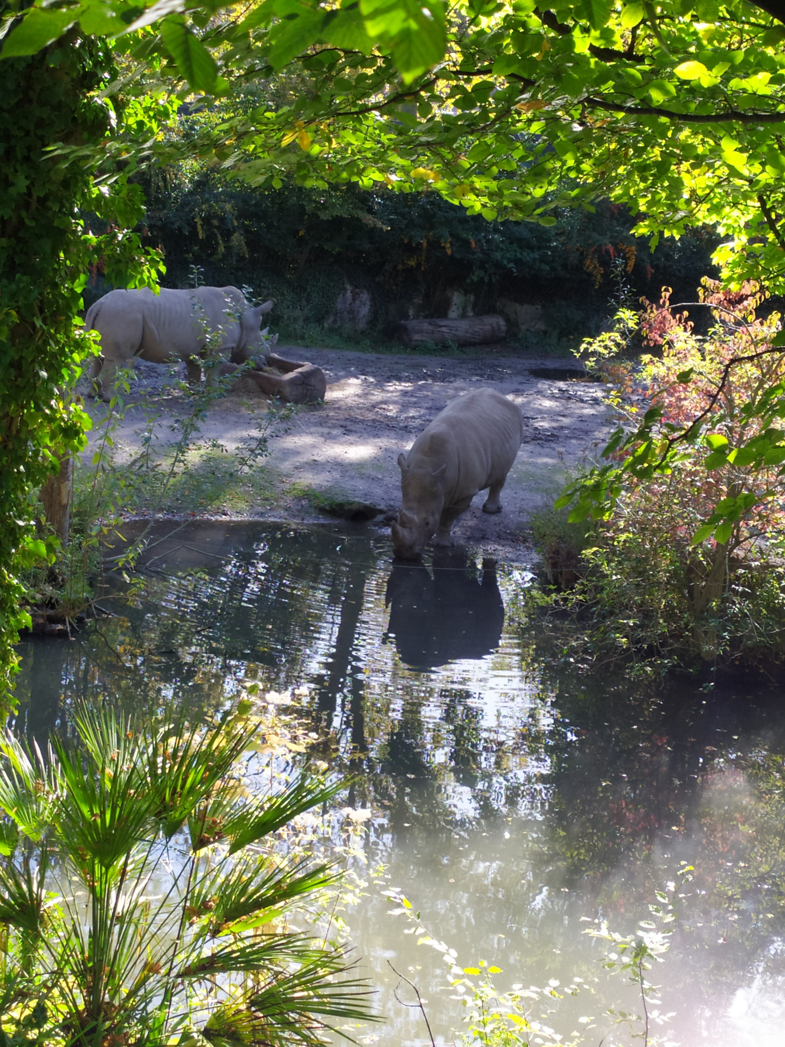 Photo n° 4 de l'avis de Boutebel.b fait le 16/10/2021 à 23:36