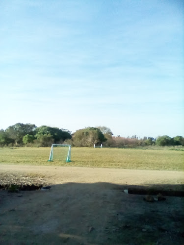Cancha De Futbol - Campo de fútbol