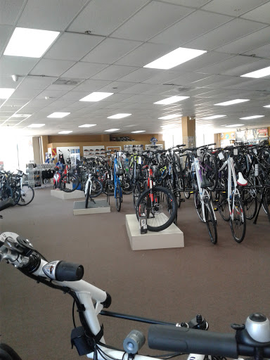 Bicycle Store «Bicycle World Lake Worth», reviews and photos, 6155 Lake Worth Rd, Lake Worth, FL 33463, USA