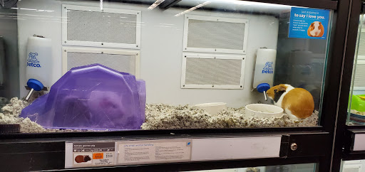 Pet Supply Store «Petco Animal Supplies», reviews and photos, 1333 Centennial Ave, Piscataway Township, NJ 08854, USA