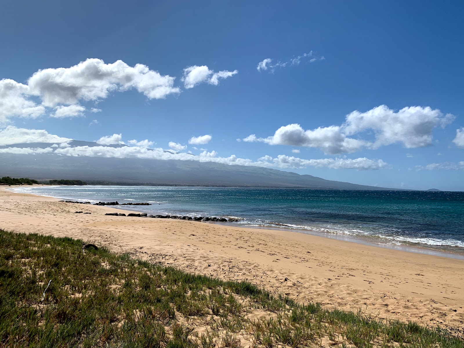 Foto de Maalaea Beach zona salvaje