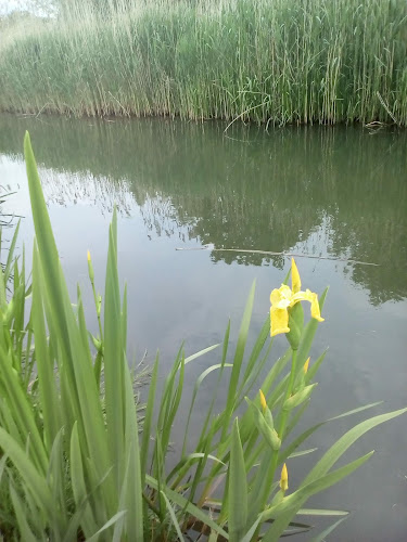 Vámosszabadi, Szabadi u. 57, 9061